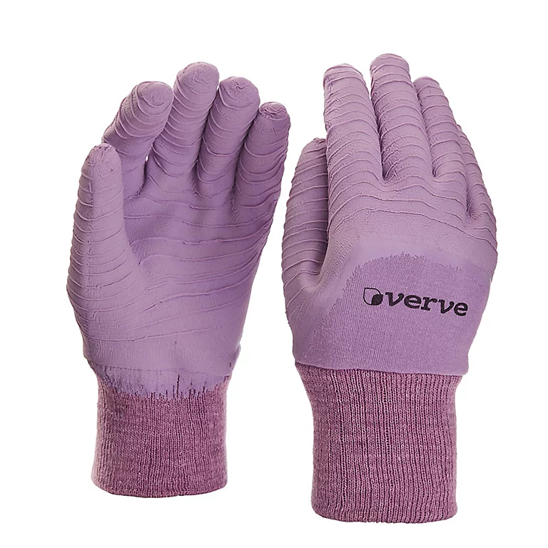 Castorama Gants De Jardinage Enduit Latex Lavande Verve - Taille 9 (L) 1 Castorama Gants De Jardinage Enduit Latex Lavande Verve - Taille 9 (L)
