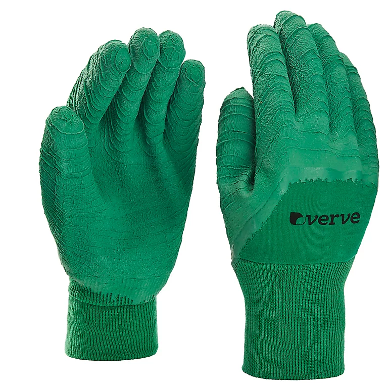 Castorama Gants De Jardinage Enduit Latex Vert Verve - Taille 9 (L) 1 Castorama Gants De Jardinage Enduit Latex Vert Verve - Taille 9 (L)