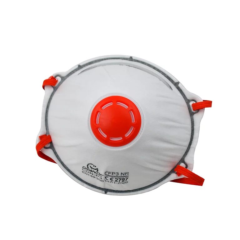 Castorama Masque Anti-poussière Jetable à Valve FFP3, Lot De 2 1 Castorama Masque Anti-poussière Jetable à Valve FFP3, Lot De 2